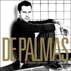 Listen online free De Palmas Une seule vie, lyrics.