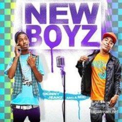 Listen online free New Boyz Crickets, lyrics.