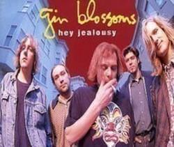 Listen online free Gin Blossoms Hey jealousy, lyrics.