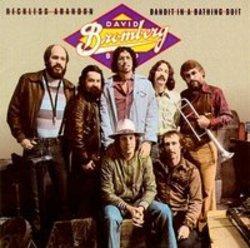 New and best David Bromberg Band songs listen online free.