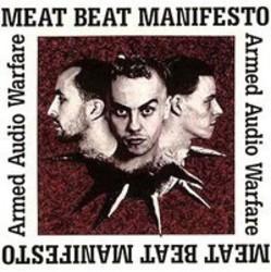 Best and new Meat Beat Manifesto Industrial songs listen online.