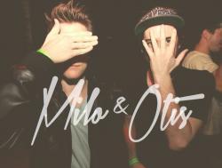Listen online free Milo & Otis Pigeons, lyrics.