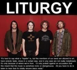 Listen online free Liturgy Infested With Worms, lyrics.