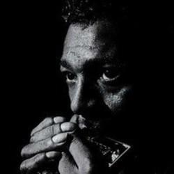 Listen online free Little Walter Hate To See You Go (Extended), lyrics.