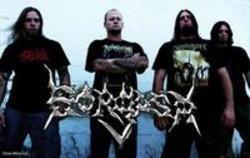 Best and new Gorgasm Brutal Death Metal songs listen online.