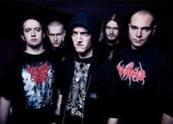 New and best Ingested songs listen online free.