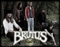 Listen online free Brutus Bloedspoor, lyrics.