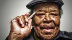 Listen online free James Cotton Every Day I Have The Blues, lyrics.