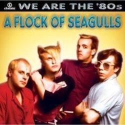 Listen online free A Flock Of Seagulls Magic, lyrics.