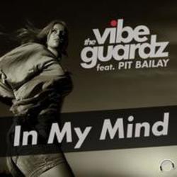 Listen online free The Vibeguardz In My Mind (feat. Pit Bailey) [Radio Edit], lyrics.