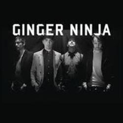 Listen online free Ginger Ninja Sunshine, lyrics.