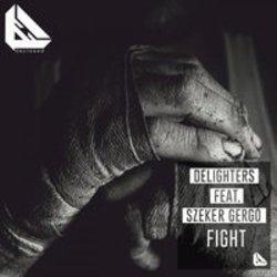 Listen online free Delighters Fight (Thomx & T.L.A. Remix) (Feat. Szeker Gergo), lyrics.