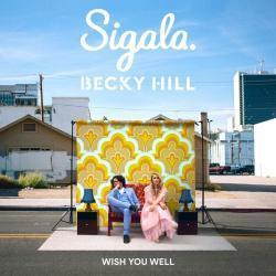 Listen online free Sigala & Becky Hill Wish You Well, lyrics.